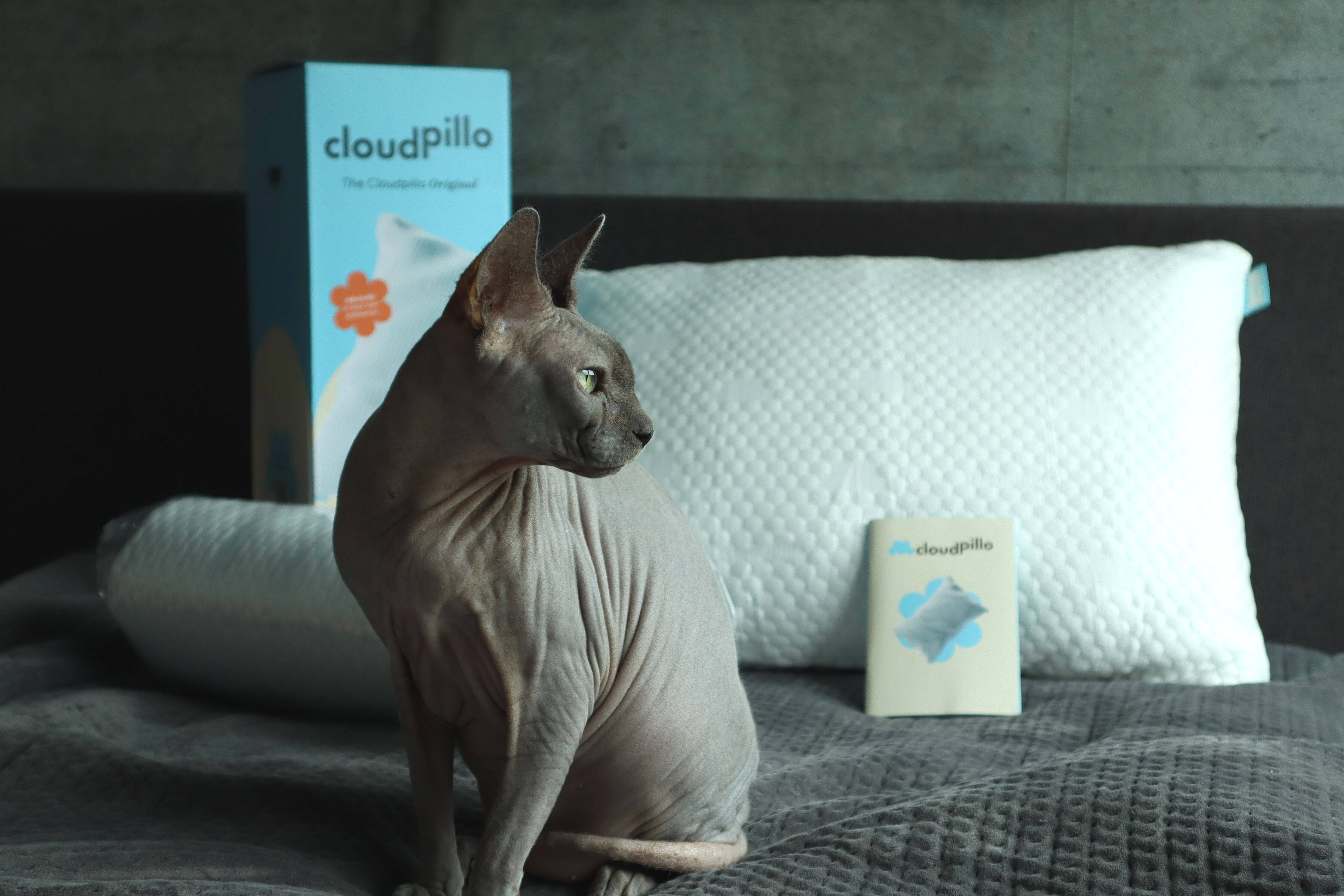 Cloudpillo: vacuüm verpakt